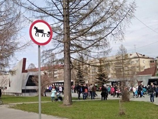 300 тысяч рублей штрафа выписаны организаторам катания на пони и олене у парка Бондина в Нижнем Тагиле: прекратится ли конный прокат? (ФОТО)