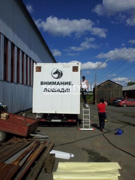 Водителю грузовика грозит лишение прав на 3 месяца за нарушение ПДД при перевозке пони и верблюда из Нижнего Тагила в Екатеринбург (ФОТО)