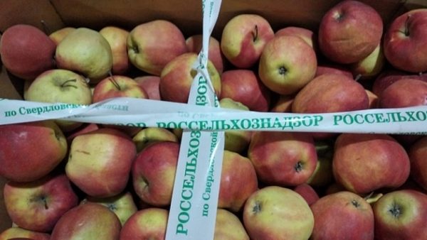 Почти 300 килограммов яблок уничтожено в Екатеринбурге 