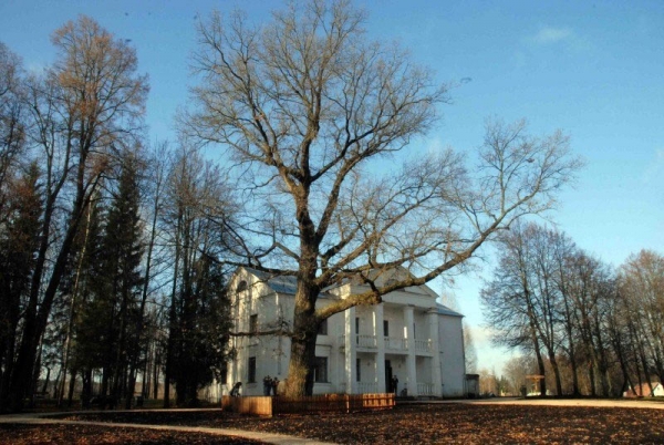 Тагильчанам предлагают участвовать в конкурсе «Российское дерево года»