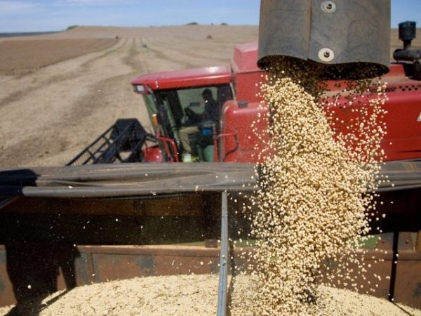 Новые правила перевозки пшеницы обойдутся Минсельхозу в 200 млн долларов