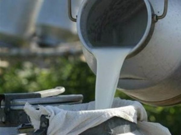 Производство продуктов питания в Свердловской области увеличилось на 12%