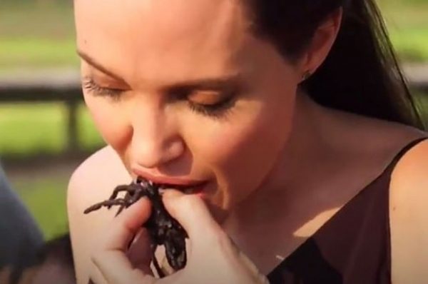 Анджелина Джоли накормила детей пауками