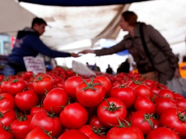 Грузия контрабандой поставляет турецкие помидоры в Россию