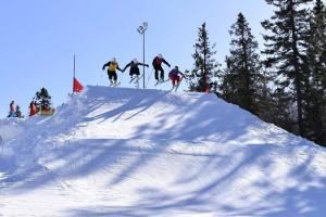  На горе Белой впервые состоялись открытые областные соревнования по фристайлу в дисциплине ски-кросс 