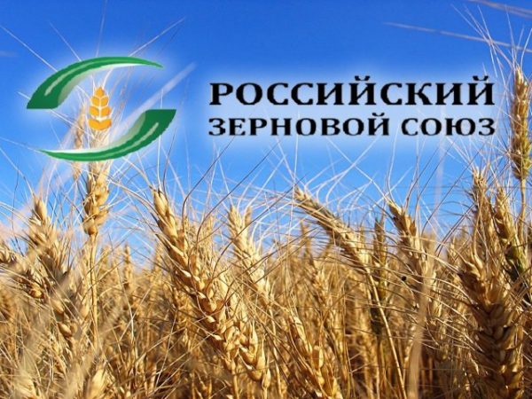 Российские продавцы зерна оказались в трудном положении: в 100% случаев им отказывают при перевозке товара в Латвию