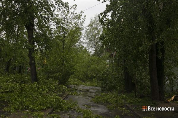 Экстренное предупреждение о повторении шторма пришло в Нижний Тагил