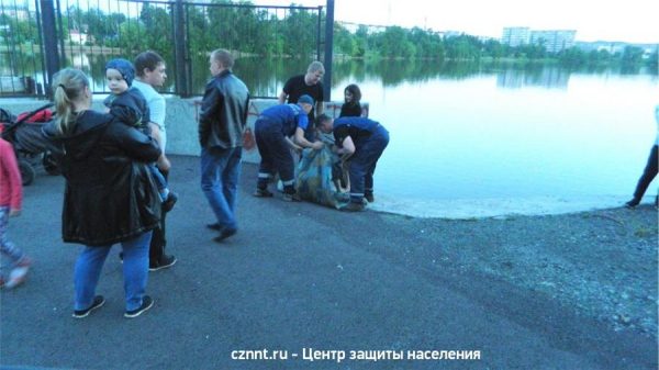 14-летняя девочка утонула в Черноисточинском пруду