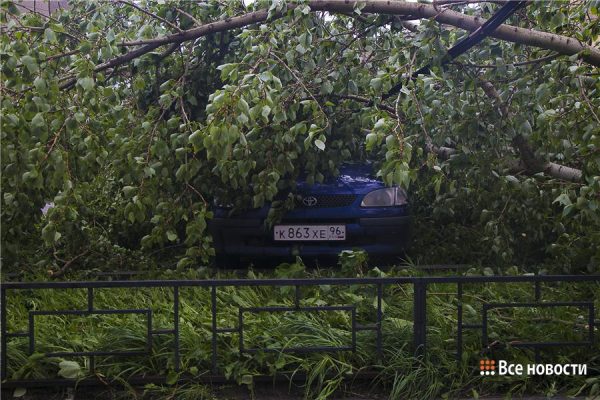 «Горячая линия» для пострадавших от урагана открылась в Нижнем Тагиле