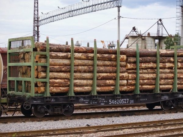 Экспорт вагоноперевозок леса и пиломатериалов снижается в России