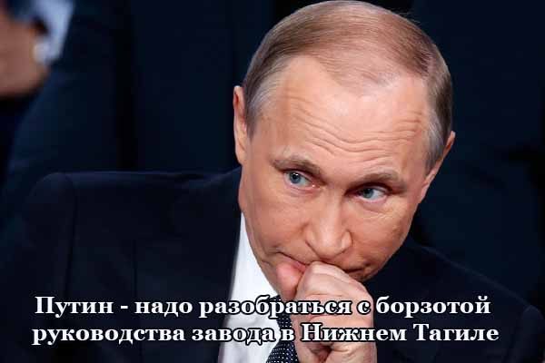 Путин: надо разобраться с «борзотой» руководства завода в Нижнем Тагиле