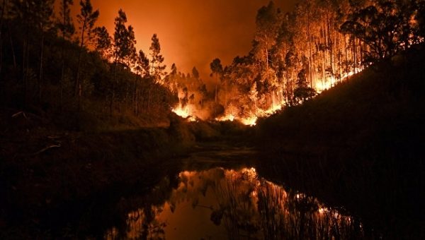 В Албании бушуют 16 природных пожаров