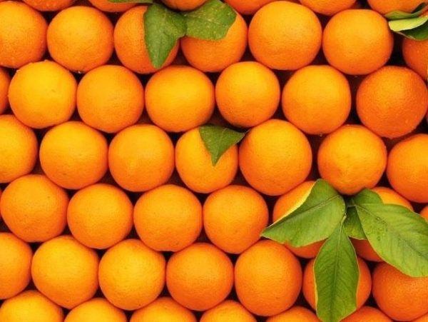 Апельсины в России подорожают из-за плохого урожая в Турции и Египте (ВИДЕО)