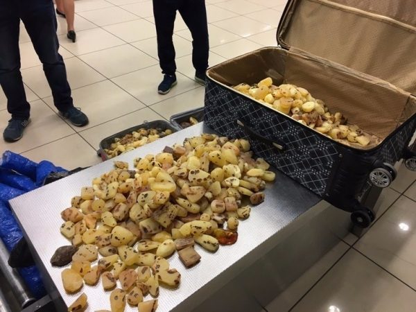50 кг янтаря на 5 млн рублей задержаны у трёх китайцев на таможне в Екатеринбурге (ФОТО)