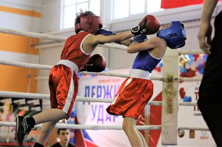 В Нижнем Тагиле в 17-й раз проходит областной турнир по боксу памяти Юрия Батухтина