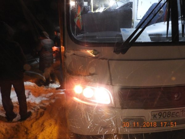 «Может ещё оклемается». Пассажирский автобус сбил лося на трассе под Нижним Тагилом