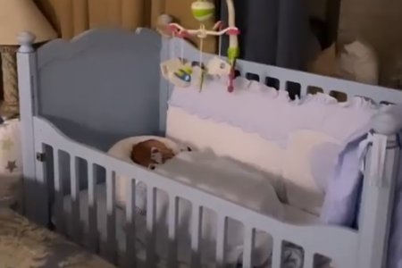 Наталья Подольская показала спящего в детской кроватке младшего сына от Владимира Преснякова