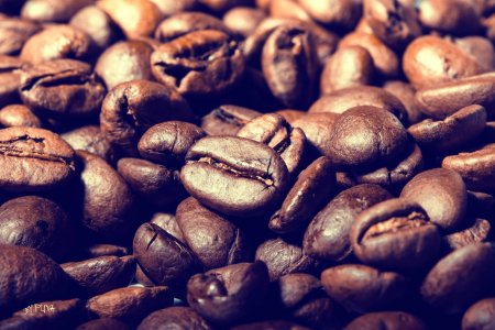 Бывший сотрудник кафе на своем опыте узнал, почему нельзя пить много кофе