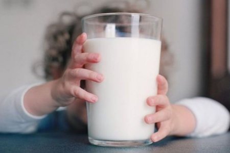 Мясников: какое молоко может стать причиной туберкулеза