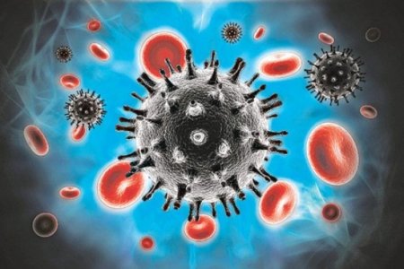 Озвучены 7 вирусов, которые могут вызвать рак
