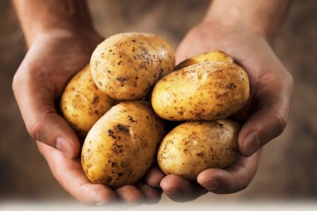 Индульгенция для корнеплода: диетолог объяснила, как есть картофель без вреда для фигуры