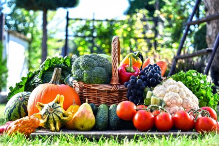 Сохранить овощи и фрукты свежими и вкусными надолго: простые советы