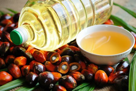 По каким словам распознать опасное пальмовое масло в продуктах: диетолог