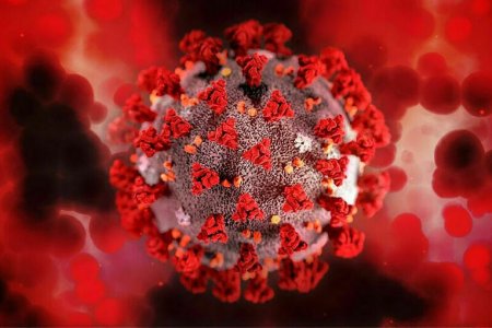 Какие люди чаще других заражаются коронавирусом: главный критерий
