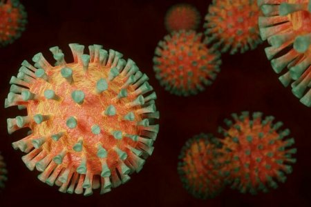 Новый штамм коронавируса омикрон: странные симптомы, заразность, опасность