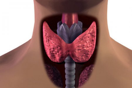 Лекарство от аритмии, которое убивает щитовидную железу: Мясников