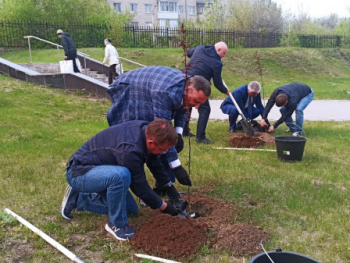 Здесь будет яблоневый сад: в Каменске-Уральском высадили аллею к 30-летию свердловского фонда ОМС
